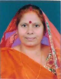 Assembly Constituency 237 - NAWADA (Bihar)